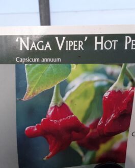 Naga – Hot Pepper