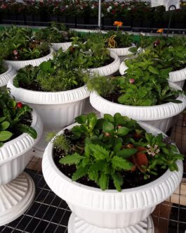 10″ Mixed Flower Urns