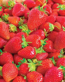 Strawberries – Ozark Everbearing