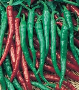Cayenne – Hot Pepper