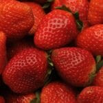 Strawberry - All-star June Bearing