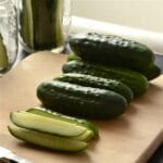 Cucumber - Pickling