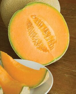 Cantaloupe – Hales Best