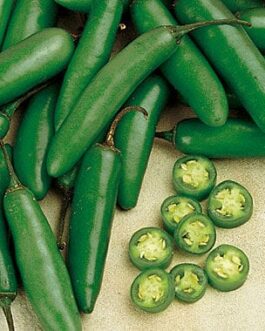 Serrano – Hot Pepper