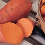 Sweet Potato