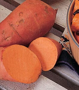 Sweet Potato