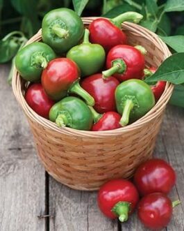 Hot Cherry- Hot Pepper