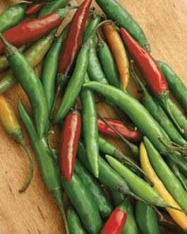 Thai – Hot Pepper