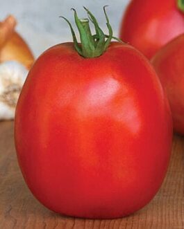 Super Sauce – Tomato