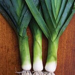 Leeks