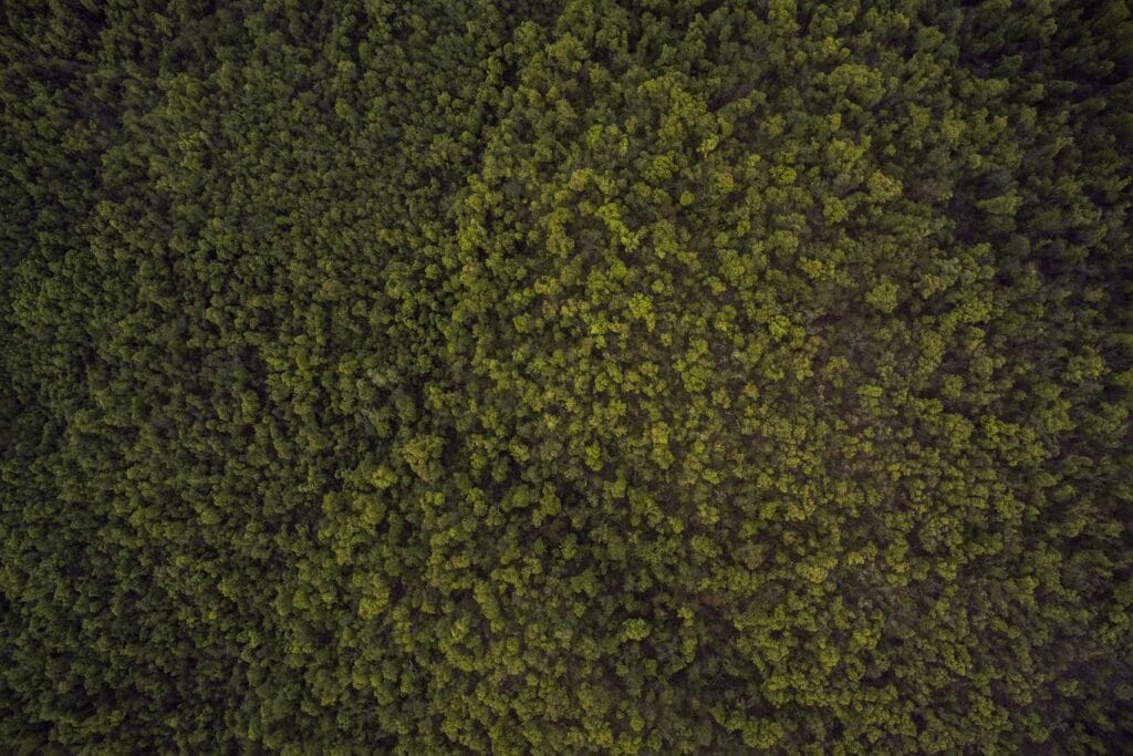 Read more about the article Perferendis expedita est velit consectetur aliquam