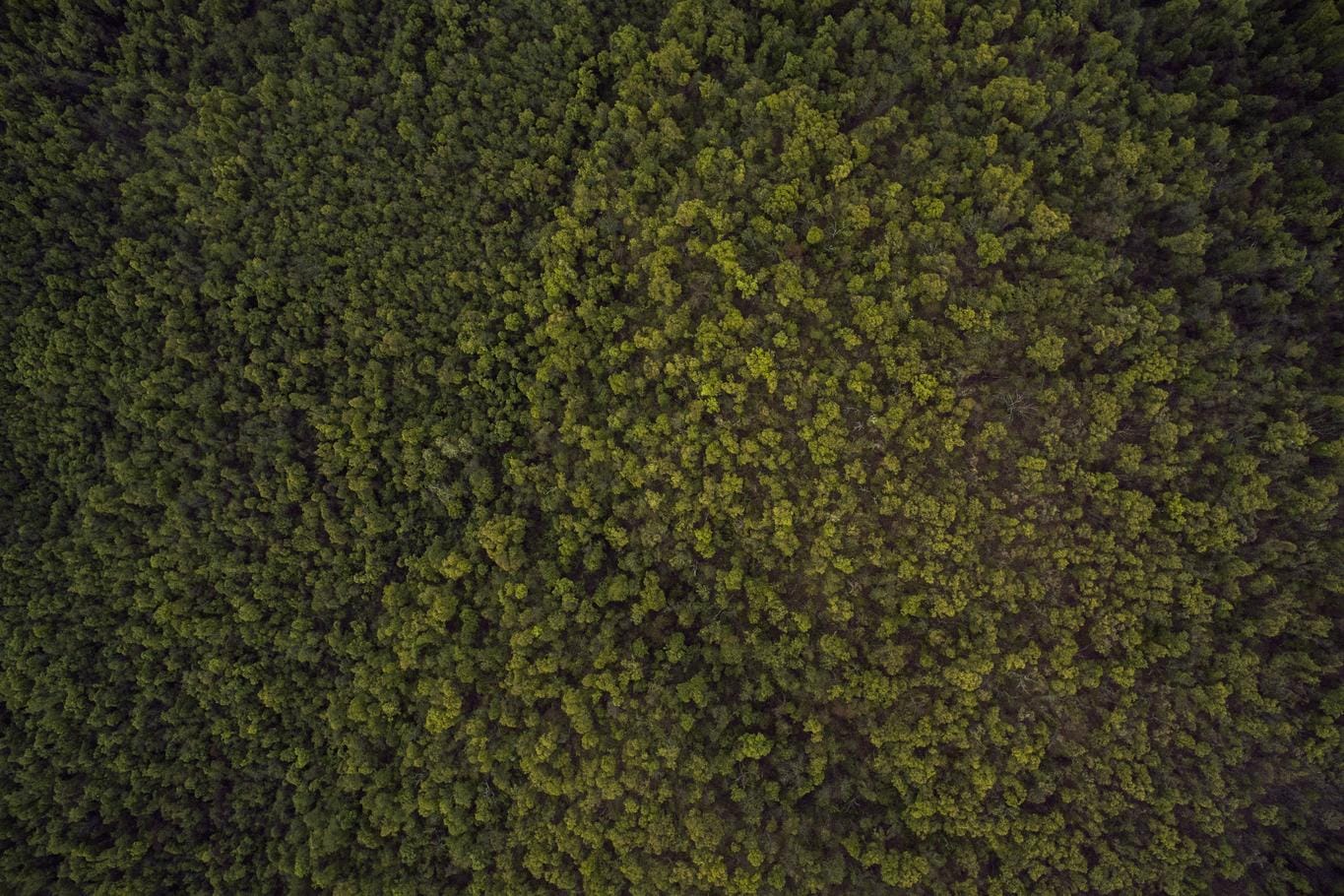 Blanditiis corporis numquam sunt repudiandae est temporibus