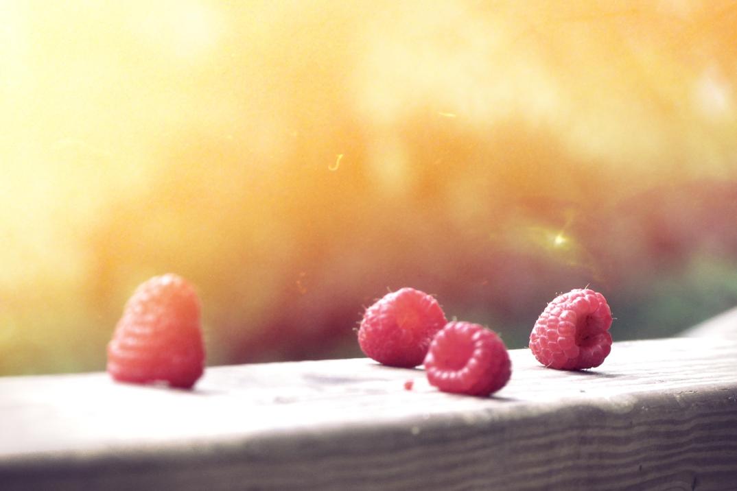 Quisquam facere fugit nihil sint quis soluta ducimus