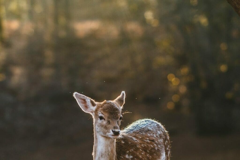 Read more about the article Voluptatem aperiam debitis facilis ex eveniet quibusdam