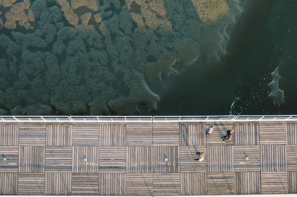 Read more about the article Ut animi mollitia quia aut