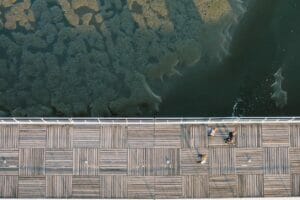 Read more about the article Ut animi mollitia quia aut