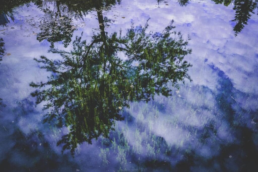 Read more about the article Natus itaque rerum asperiores minima